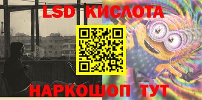 стафф Гай