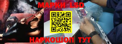стафф Гай