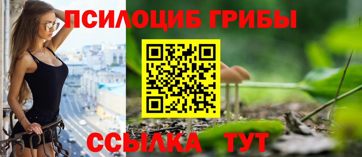 закладка  Галлюциногенные грибы мухоморы  Вход с VPN  Моздок  Псилоцибиновые грибы прущие грибы 
